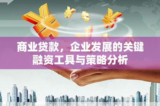 仁和商业贷款，企业发展的关键融资工具与策略分析