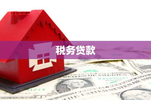 仁和税务贷款
