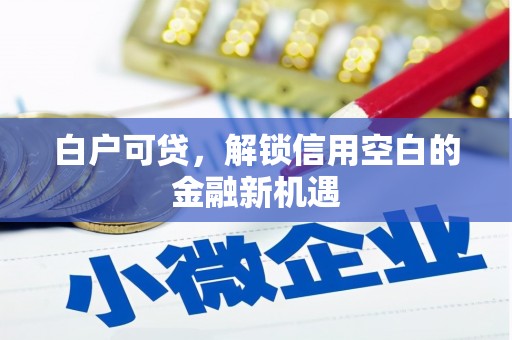 仁和白户可贷，解锁信用空白的金融新机遇