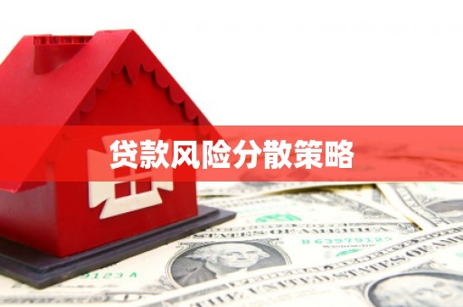 仁和贷款风险分散策略