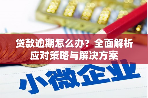 仁和贷款逾期怎么办？全面解析应对策略与解决方案