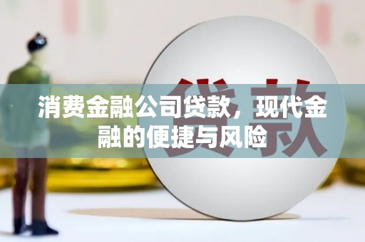 仁和消费金融公司贷款，现代金融的便捷与风险