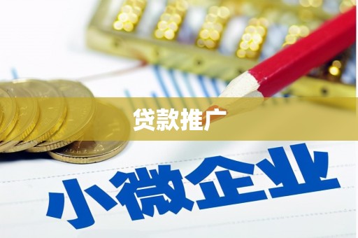 仁和贷款推广