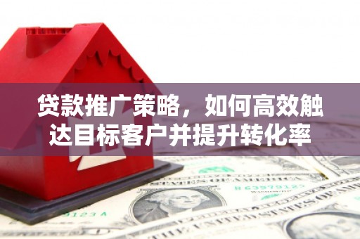 仁和贷款推广策略，如何高效触达目标客户并提升转化率