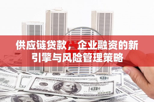 仁和供应链贷款，企业融资的新引擎与风险管理策略