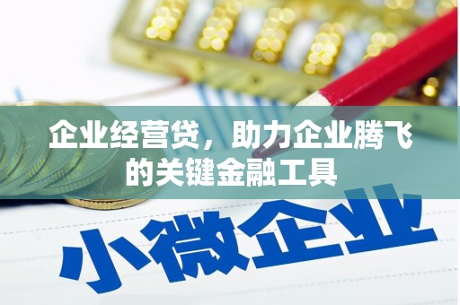 仁和企业经营贷，助力企业腾飞的关键金融工具