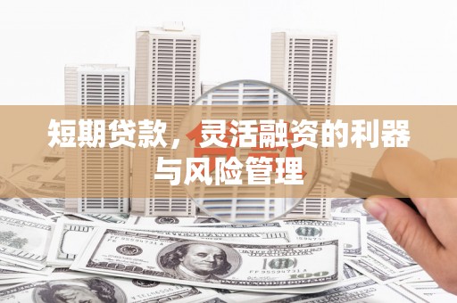 仁和短期贷款，灵活融资的利器与风险管理
