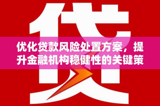 仁和优化贷款风险处置方案，提升金融机构稳健性的关键策略