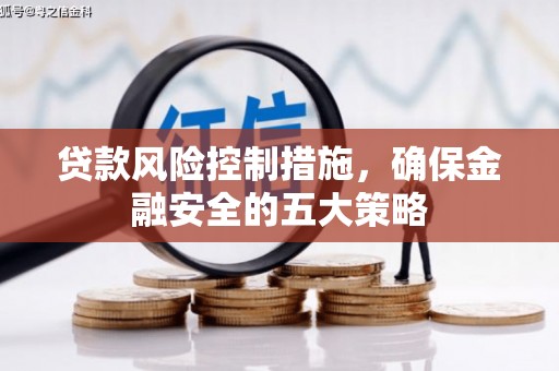 仁和贷款风险控制措施，确保金融安全的五大策略