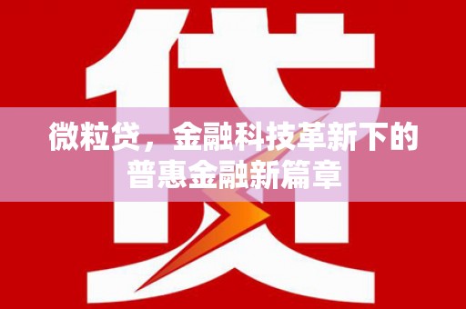 仁和微粒贷，金融科技革新下的普惠金融新篇章