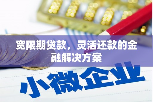 仁和宽限期贷款，灵活还款的金融解决方案