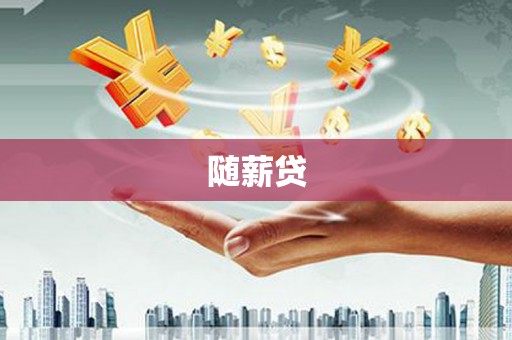 仁和随薪贷