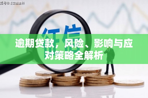 仁和逾期贷款，风险、影响与应对策略全解析