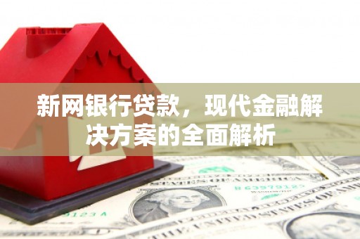 仁和新网银行贷款，现代金融解决方案的全面解析