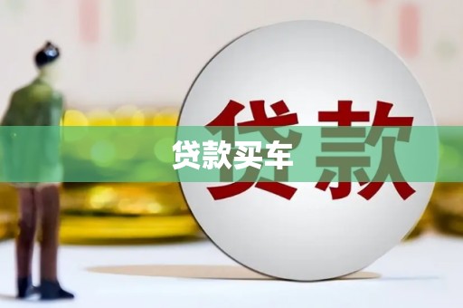 仁和贷款买车