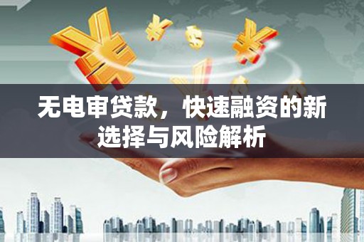 仁和无电审贷款，快速融资的新选择与风险解析
