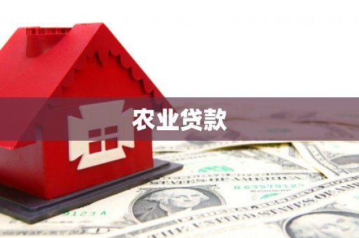 仁和农业贷款