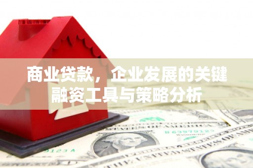 仁和商业贷款，企业发展的关键融资工具与策略分析