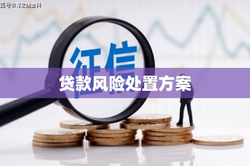 仁和贷款风险处置方案