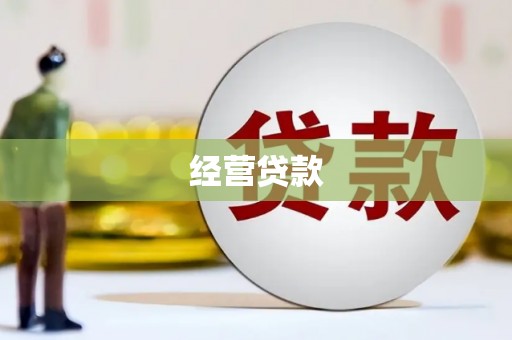 仁和经营贷款