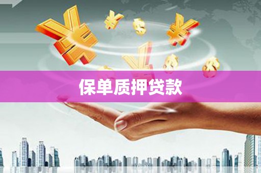仁和保单质押贷款