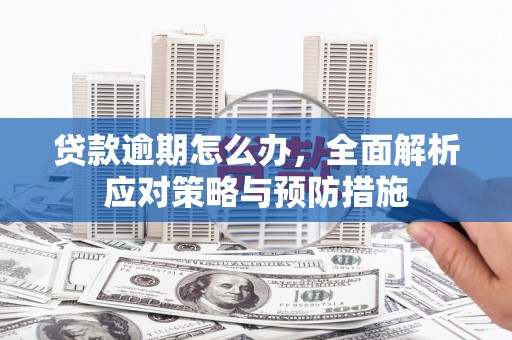 仁和贷款逾期怎么办，全面解析应对策略与预防措施