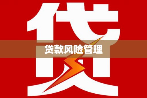 仁和贷款风险管理