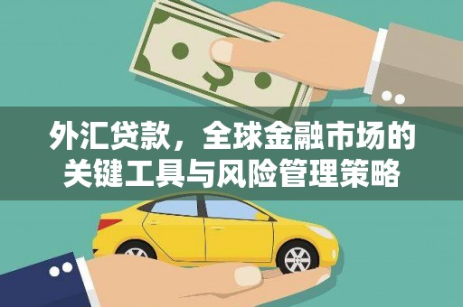 仁和外汇贷款，全球金融市场的关键工具与风险管理策略