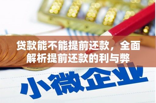 仁和贷款能不能提前还款，全面解析提前还款的利与弊