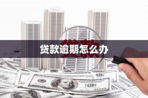 仁和贷款逾期怎么办