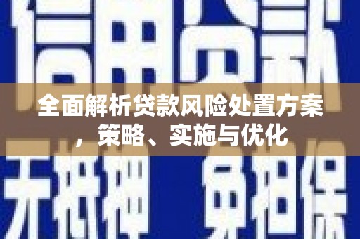 仁和全面解析贷款风险处置方案，策略、实施与优化