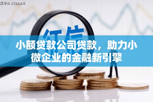 仁和小额贷款公司贷款，助力小微企业的金融新引擎