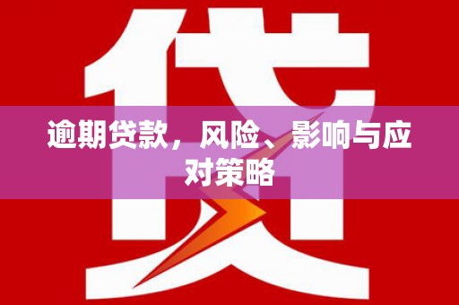 仁和逾期贷款，风险、影响与应对策略