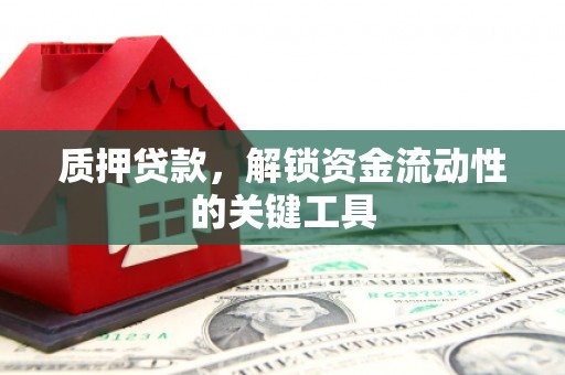 仁和质押贷款，解锁资金流动性的关键工具