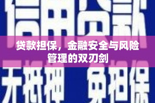 仁和贷款担保，金融安全与风险管理的双刃剑
