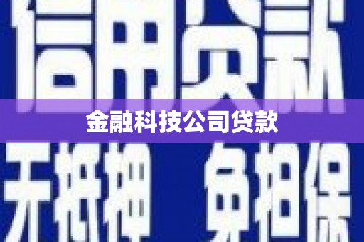 仁和金融科技公司贷款