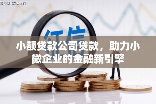 仁和小额贷款公司贷款，助力小微企业的金融新引擎