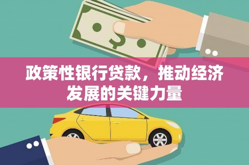 仁和政策性银行贷款，推动经济发展的关键力量