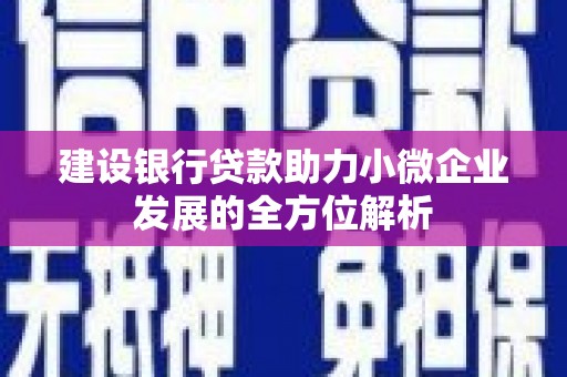 仁和建设银行贷款助力小微企业发展的全方位解析