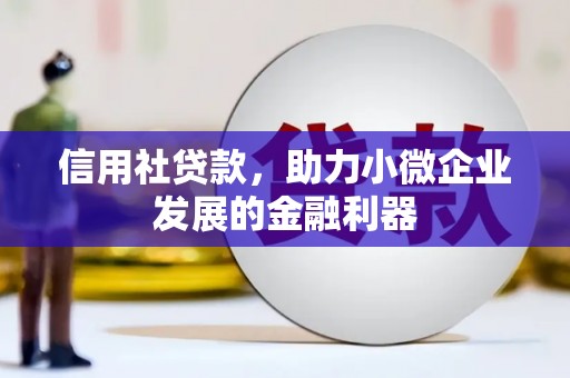 仁和信用社贷款，助力小微企业发展的金融利器