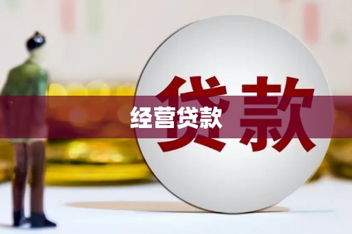 仁和经营贷款