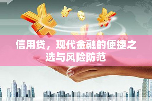 仁和信用贷，现代金融的便捷之选与风险防范