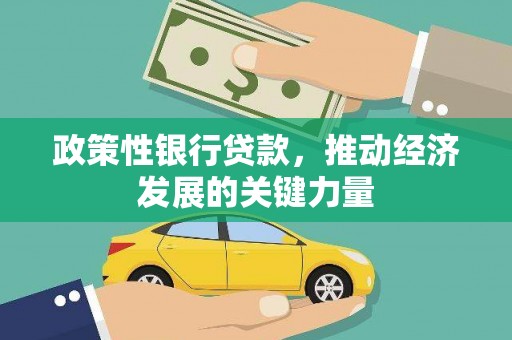 仁和政策性银行贷款，推动经济发展的关键力量