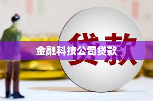 仁和金融科技公司贷款