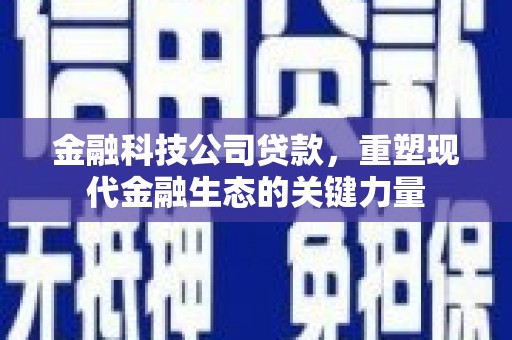 仁和金融科技公司贷款，重塑现代金融生态的关键力量