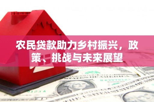 仁和农民贷款助力乡村振兴，政策、挑战与未来展望