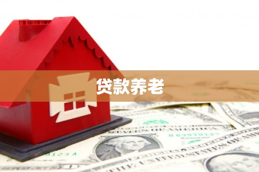 仁和贷款养老