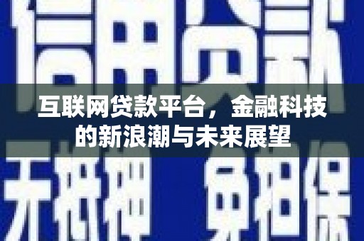 仁和互联网贷款平台，金融科技的新浪潮与未来展望