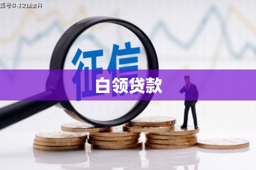 仁和白领贷款