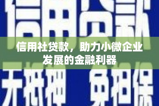 仁和信用社贷款，助力小微企业发展的金融利器